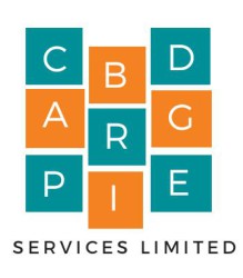 capbridge-services-logo